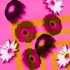 Bloemen Avatars 