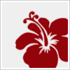 Bloemen Avatars 