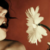 Bloemen Avatars 