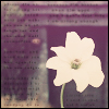 Bloemen Avatars 