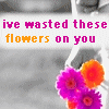 Bloemen Avatars 