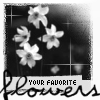 Bloemen Avatars 