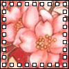 Bloemen Avatars 