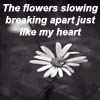 Bloemen Avatars 