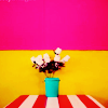 Bloemen Avatars 
