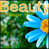 Bloemen Avatars 