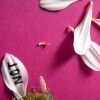 Bloemen Avatars 