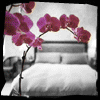 Bloemen Avatars 