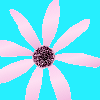 Bloemen Avatars 