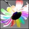 Bloemen Avatars Avatar Bloem Regenboog