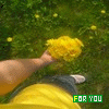 Bloemen Avatars 