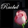 Bloemen Avatars Een Mooie Roze Roos Met Rachel Er Boven Staan