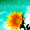 Bloemen Avatars 