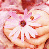 Bloemen Avatars 