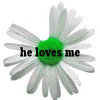 Bloemen Avatars 