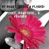 Bloemen Avatars 