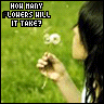 Bloemen Avatars 