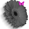 Bloemen Avatars 
