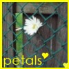 Bloemen Avatars 