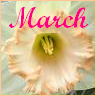 Bloemen Avatars 