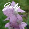Bloemen Avatars 