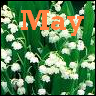 Bloemen Avatars 