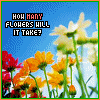 Bloemen Avatars 