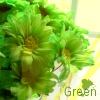 Bloemen Avatars 