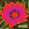 Bloemen Avatars 