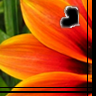 Bloemen Avatars 