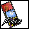 Bloemen Avatars 