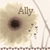 Bloemen Avatars 