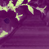 Bloemen Avatars 