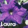 Bloemen Avatars 