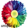 Bloemen Avatars Avatar Bloem Regenboog