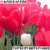 Bloemen Avatars 