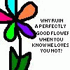 Bloemen Avatars 