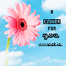 Bloemen Avatars 