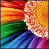 Bloemen Avatars Avatar Bloem Regenboog