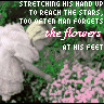 Bloemen Avatars 