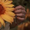 Bloemen Avatars 