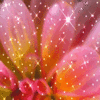 Bloemen Avatars 
