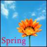 Bloemen Avatars 