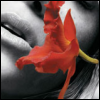 Bloemen Avatars 