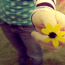 Bloemen Avatars 