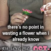 Bloemen Avatars 