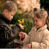 Bloemen Avatars 