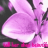 Bloemen Avatars 