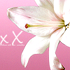 Bloemen Avatars 