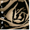 Bloemen Avatars 